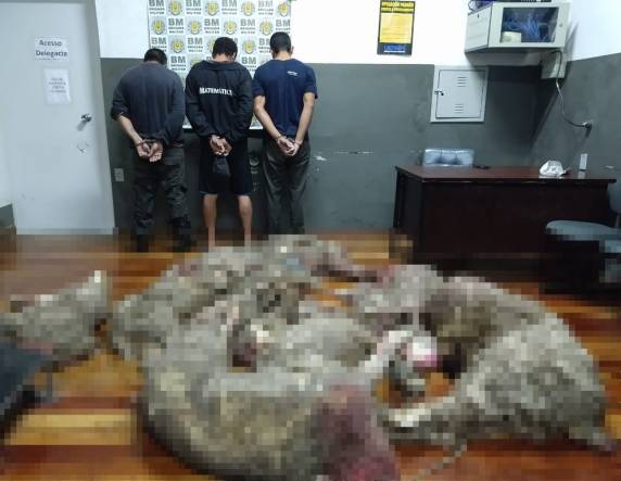 Conforme registro policial, oito animais estavam mortos. Um quarto homem que estava no veículo conseguiu fugir durante abordagem