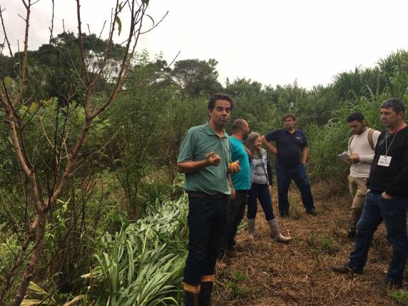 Curso para construção de agroflorestas é realizado na Setrem - foto 2