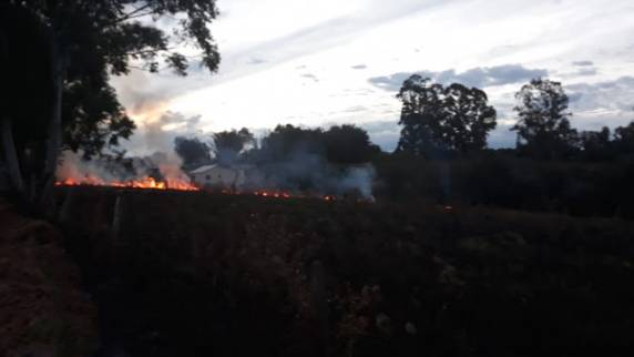 Brigada Militar de Capão do Cipó evita incêndio de grandes proporções - foto 3