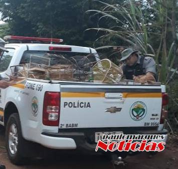 PC e BM recuperam carga de cigarros roubada e prendem mulher por receptação - foto 5