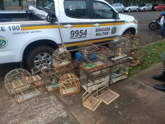 PC e BM recuperam carga de cigarros roubada e prendem mulher por receptação - foto 6
