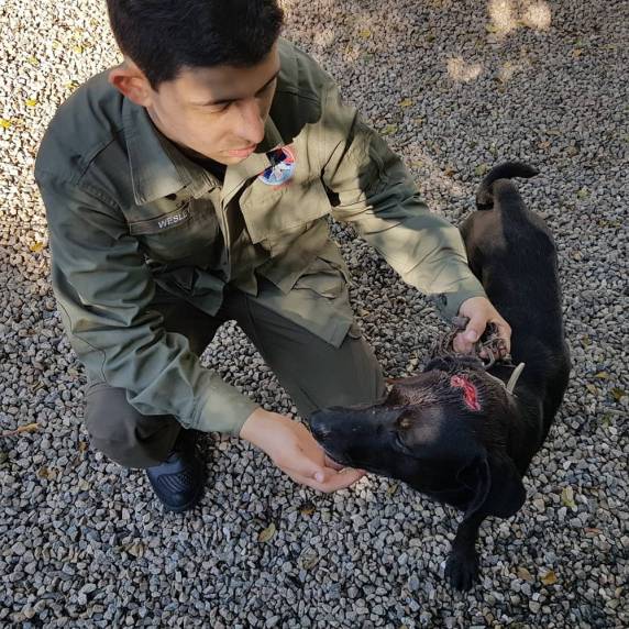 Grupo de Operações e Resgate suspeita que o cão foi atingido por paulada