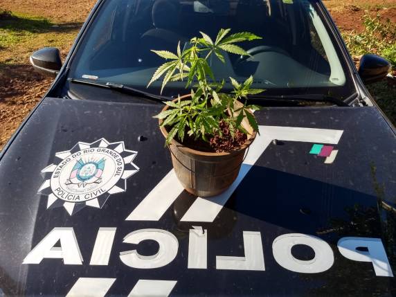 Polícia Civil prende duas mulheres por tráfico de drogas em Santo Ângelo - foto 3