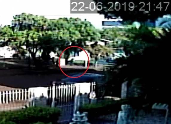 Delegado responsável pela investigação diz que não houve crime ambiental na morte do animal. Apuração foi encaminhada para o Poder Judiciário