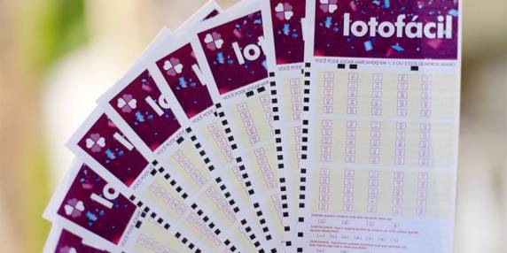 Confira as dezenas sorteadas e os resultados de outros concursos
