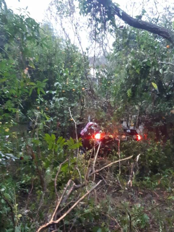Colisão entre automóvel e ônibus escolar deixa um morto na BR 468, em Três Passos - foto 3