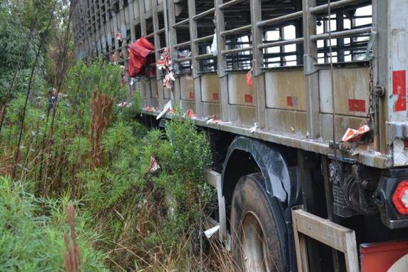 Grave acidente envolve dois caminhões na ERS 324 entre Três Palmeiras e Ronda Alta - foto 6