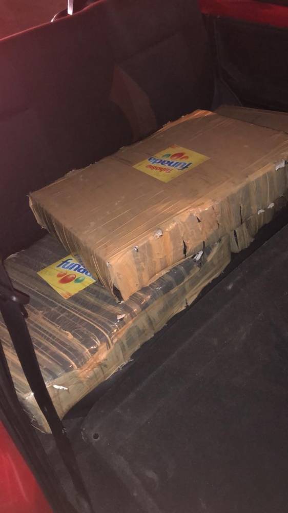 Mais de 250 kg de maconha são apreendidos na BR-101 em Itajaí - foto 3