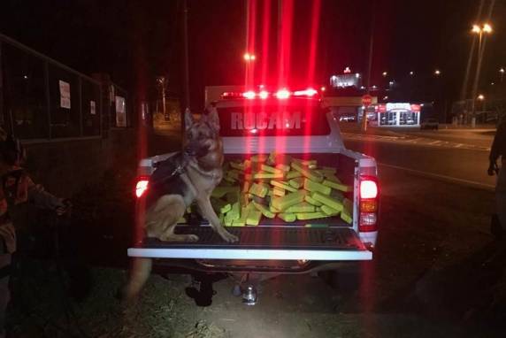 Foram localizados 234 tabletes de maconha, aproximadamente 200kg