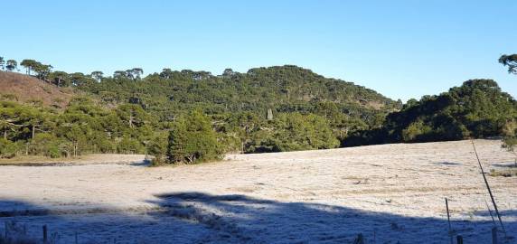 Serra de SC registra geada neste domingo - foto 3