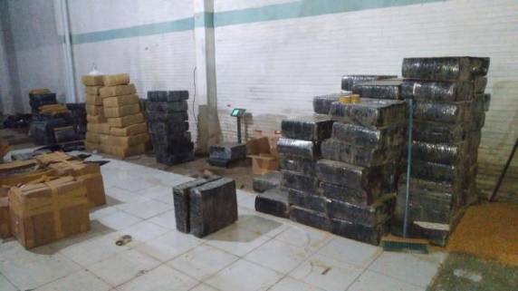 Denarc retirou quase 400 toneladas das drogas de ruas no primeiro semestre do ano contra 302 mil quilos em igual período de 2018