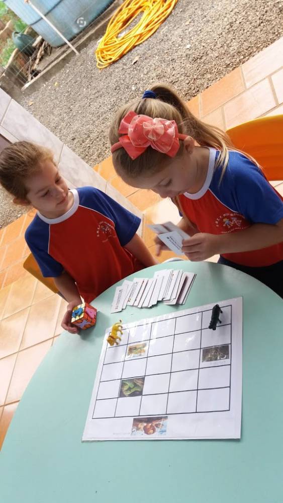 Projeto Piloto da Escola Rui Barbosa em São José do Inhacorá - foto 5