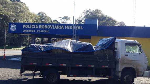 PRF apreende agrotóxico escondido embaixo de carga de feno em Concórdia - foto 3