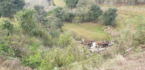 Bovinos das raças canchim e normando estavam em caminhão vindo do Paraná que caiu em barranco na RS-122, entre São Vendelino e Farroupilha, na Serra