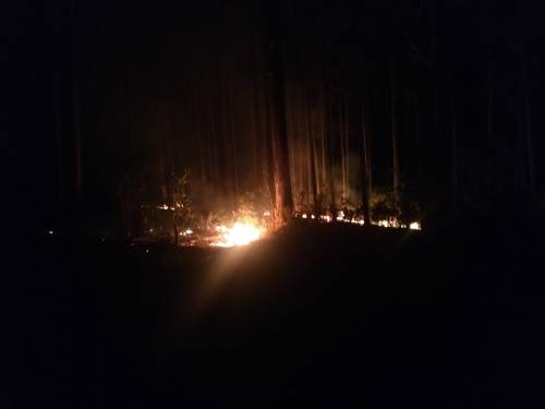 Grande incêndio atinge o interior de Crissiumal - foto 2