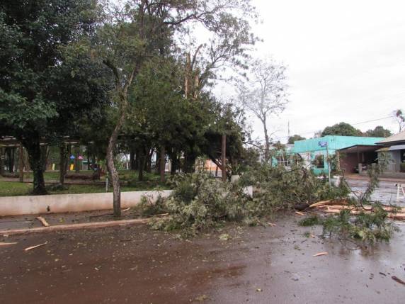 Raio atinge árvore no Centro de Caibaté - foto 2
