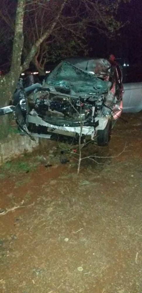 Acidente na BR 285 deixa três feridos e dois cavalos mortos, em Ijui - foto 2