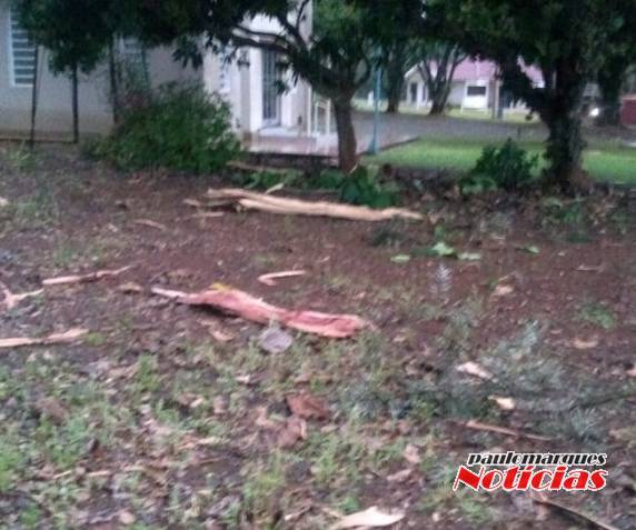 Árvore fica esfacelada por raio que caiu na Comunidade de Manchinha, Três de Maio - foto 2