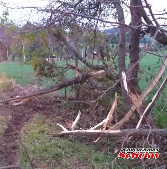 Capotagem de veículo deixa feridos na BR 285 entre Ijuí e Coronel Barros - foto 4