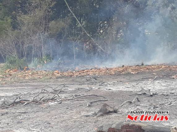 Bombeiros combatem incêndio de grandes proporções em vegetação, em Três de Maio - foto 6