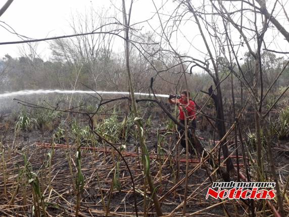 Bombeiros combatem incêndio de grandes proporções em vegetação, em Três de Maio - foto 4