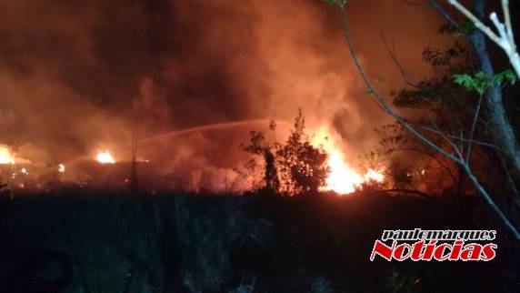 VÍDEO; Bombeiros combatem incêndio em área de vegetação seca em Consolata, Três de Maio - foto 4
