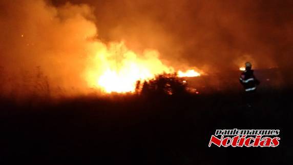 VÍDEO; Bombeiros combatem incêndio em área de vegetação seca em Consolata, Três de Maio - foto 5