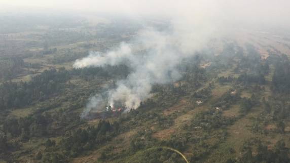 Prefeitura decreta situação de emergência em Palhoça após incêndio no Parque Estadual Serra do Tabuleiro - foto 2