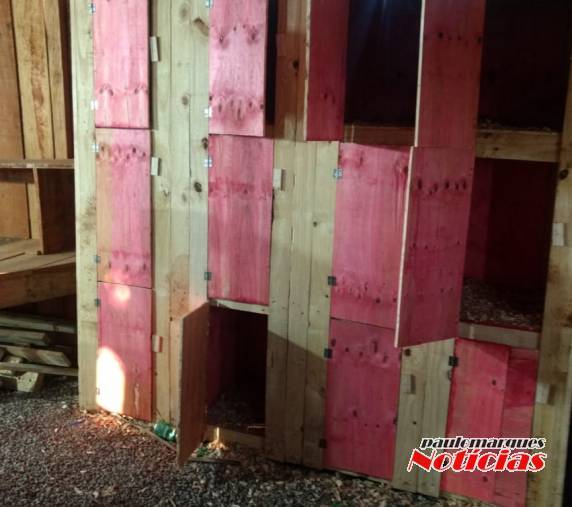 Brigada Militar autua proprietário de rinhadeiro em Entre-Ijuís - foto 2