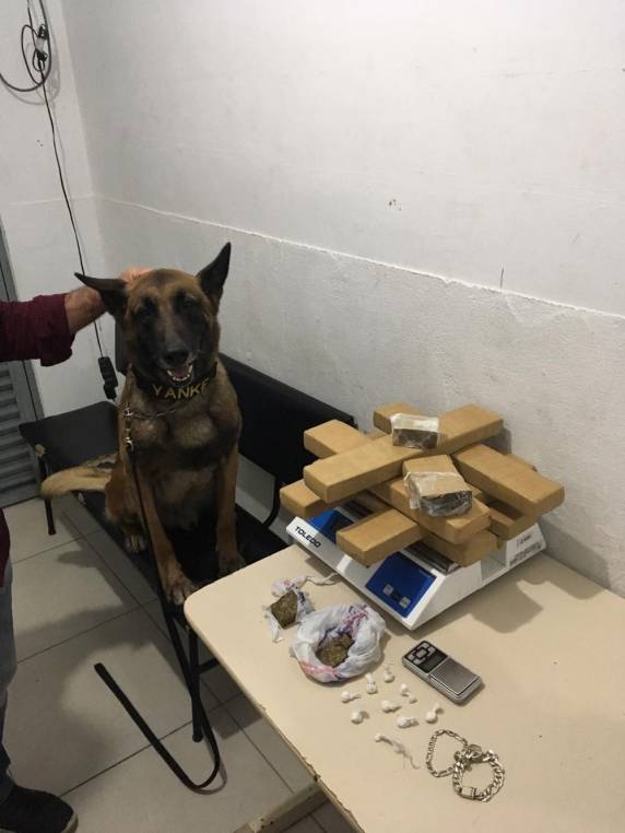 Polícia ainda encontrou em uma casa torrões de maconha, cocaína e uma balança digital. Uma segunda pessoa suspeita foi levada para a delegacia