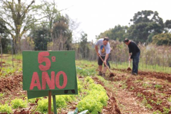 Escola Francisco Sales Guimarães implanta Horta Comunitária - foto 2