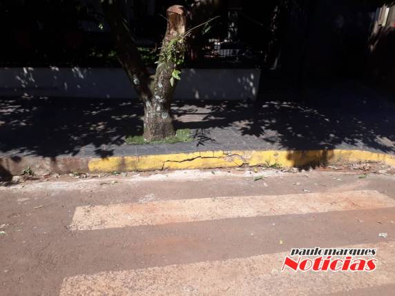 Localização de nova rampa em calçada da Câmara de Vereadores, desperta curiosidade de munícipes - foto 4
