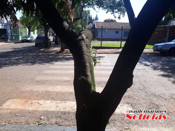 Localização de nova rampa em calçada da Câmara de Vereadores, desperta curiosidade de munícipes - foto 3