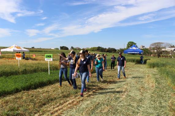 Opções de rentabilidade e qualidade do trigo foram abordados em Dia de Campo na Setrem - foto 2