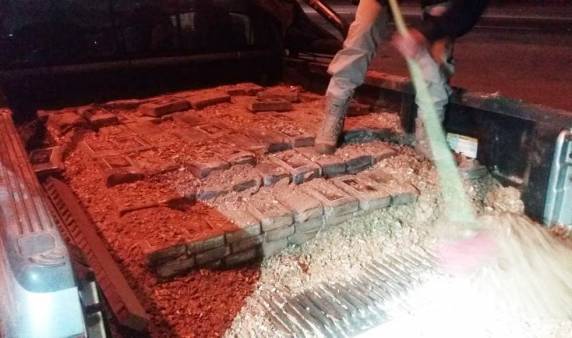 Ação conjunta PRF e PF flagra 450 quilos de cocaína escondida em carga de cocos na BR 101 em Barra Velha - foto 3