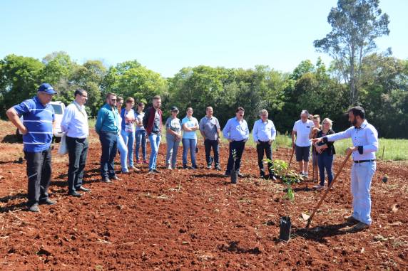 Implantação e manejo de pomares e quintais orgânicos foi tema de encontro