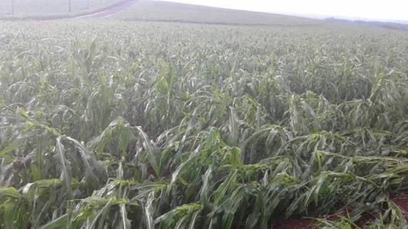 Vento e granizo no interior de Doutor Mauricio Cardoso - foto 6