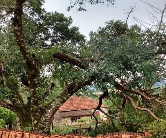 Vento e granizo no interior de Doutor Mauricio Cardoso - foto 4