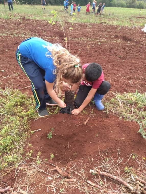 Educação no Campo: Escola Bem Viver Caúna realiza implantação de um pomar na escola - foto 3