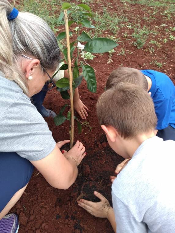 Educação no Campo: Escola Bem Viver Caúna realiza implantação de um pomar na escola - foto 6