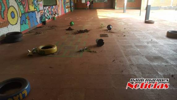 Vândalos atacam escolas São Francisco e Ciep Glória Veronese em Três de Maio - foto 5