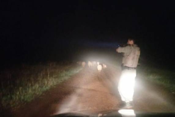 A mesma denúncia ainda relatava que um deles portava uma arma longa
