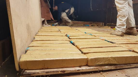 PRF apreende 1.500 kg de maconha em Joinville - foto 3