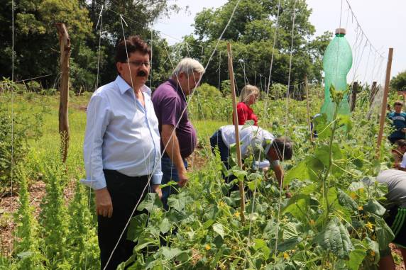 Plantio e colheita dos legumes é realizada pelos próprios alunos
