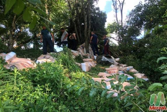 Caminhão carregado de soja fica destruído ao colidir em árvores na ERS 324 - foto 3