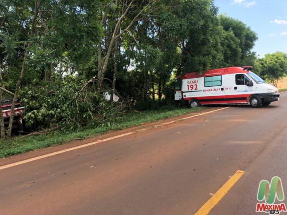 Caminhão carregado de soja fica destruído ao colidir em árvores na ERS 324 - foto 2