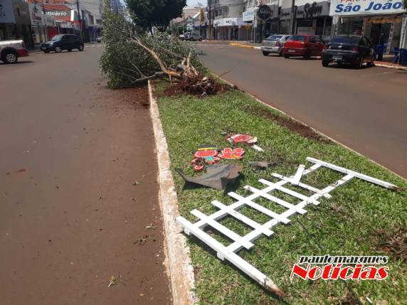 Motorista perde controle de caminhão sobe canteiro de avenida, derruba árvore e enfeites de Natal em Três de Maio - foto 2