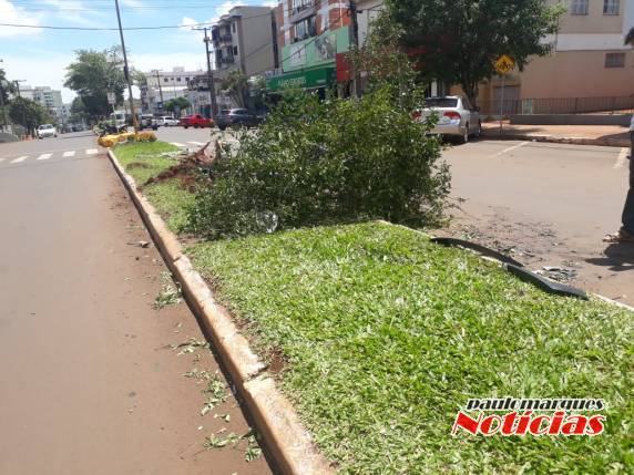 Motorista perde controle de caminhão sobe canteiro de avenida, derruba árvore e enfeites de Natal em Três de Maio - foto 4