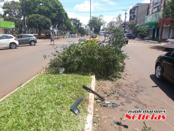 Motorista perde controle de caminhão sobe canteiro de avenida, derruba árvore e enfeites de Natal em Três de Maio - foto 3