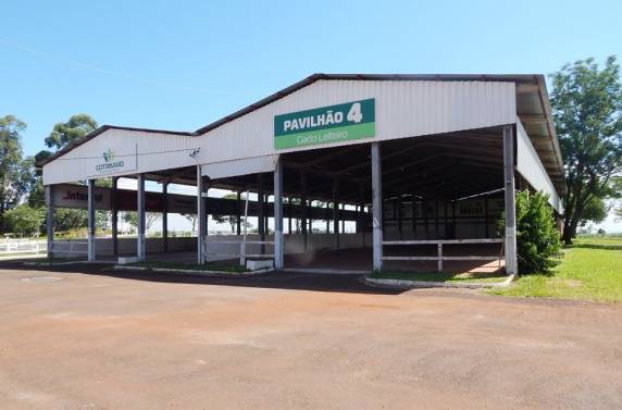 Expo Terneira 2020: inicia na próxima segunda-feira a comercialização de espaços para empresas de Três de Maio - foto 2
